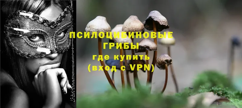 Галлюциногенные грибы Magic Shrooms Баксан